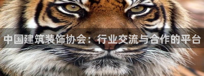 盈顺休闲娱乐室